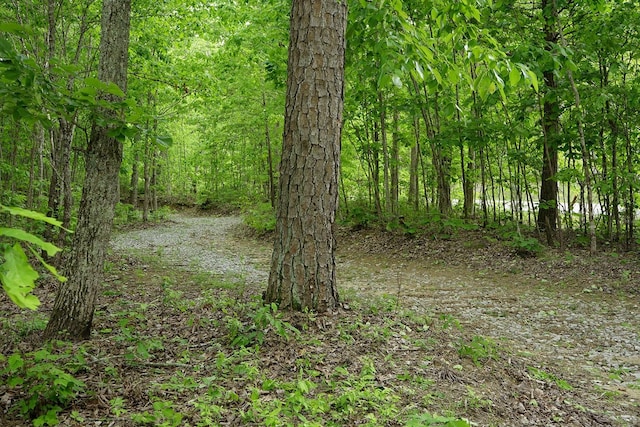 9998 S Pittsburg Mountain Rd, South Pittsburg, TN 37380