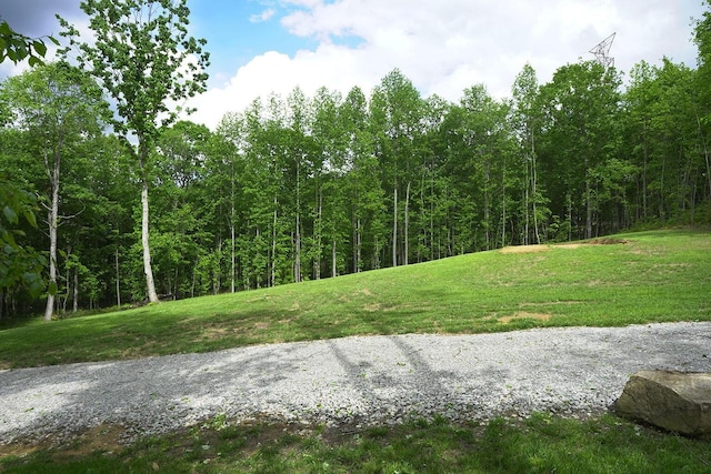 9998 S Pittsburg Mountain Rd, South Pittsburg, TN 37380