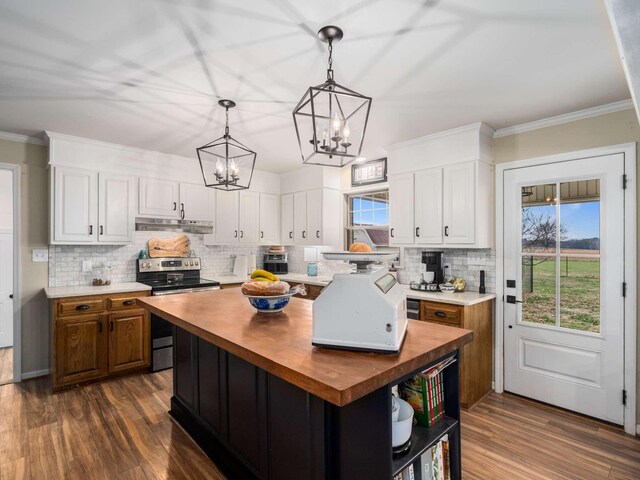 473 S Fishing Ford Rd, Petersburg, TN 37144 - kitchen with butcher block counters, stainless steel electric range oven, under cabinet range hood, a chandelier, and decorative backsplash