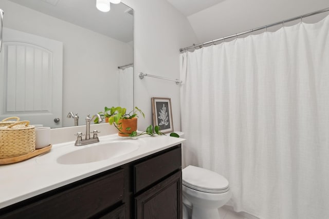 bathroom with toilet and vanity