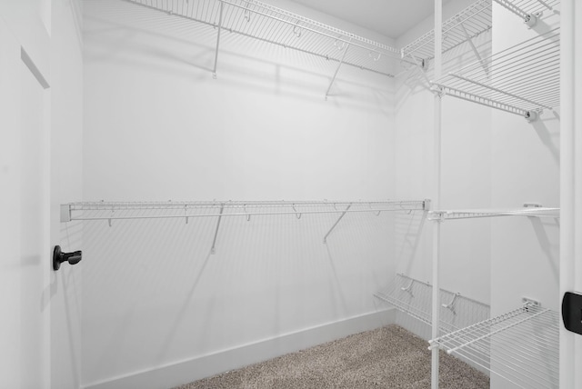 walk in closet featuring carpet
