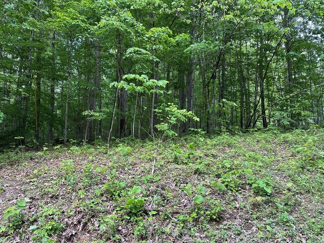 5757 Emerald Rd, Cookeville, TN 38501 - photo 3