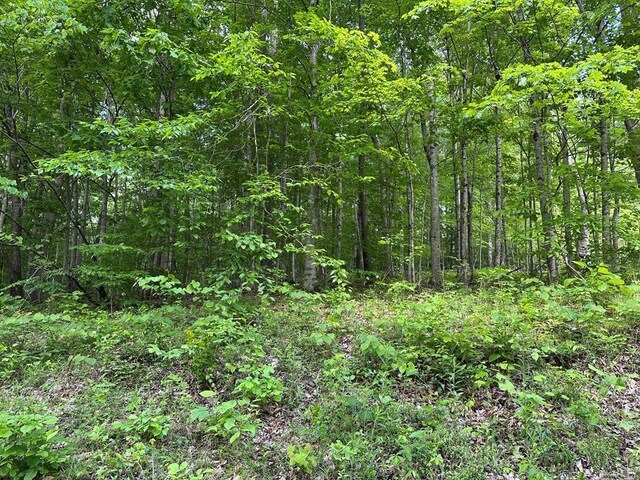 5757 Emerald Rd, Cookeville, TN 38501 - photo 5