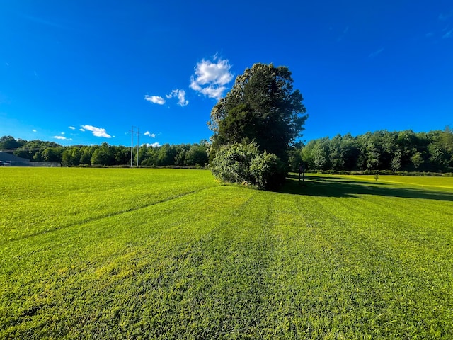 3517 Dobbins Pike, Portland, TN 37148 - view of green lawn