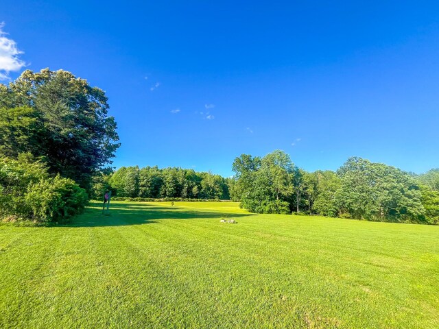3517 Dobbins Pike, Portland, TN 37148 - view of grassy yard