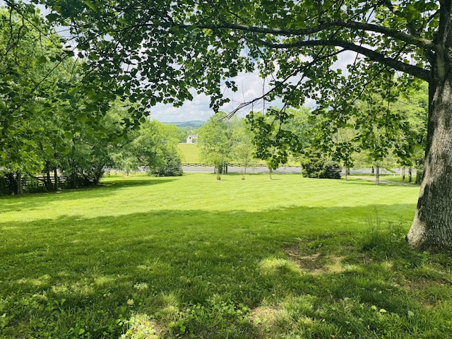 4060 Carters Creek Pike, Franklin, TN 37064 - view of green lawn