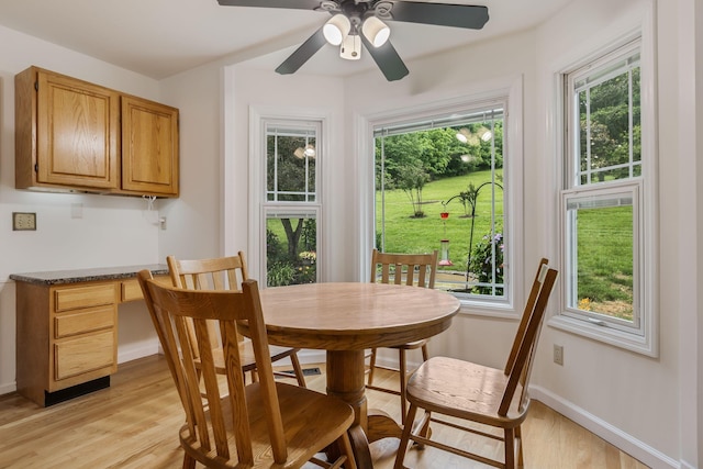 4060 Carters Creek Pike, Franklin, TN 37064 - dining area featuring light wood-type flooring, plenty of natural light, baseboards, and ceiling fan