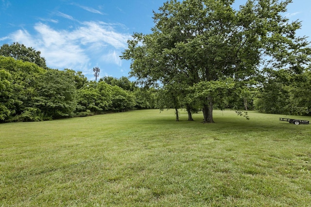 4060 Carters Creek Pike, Franklin, TN 37064 - view of green lawn with view of scattered trees