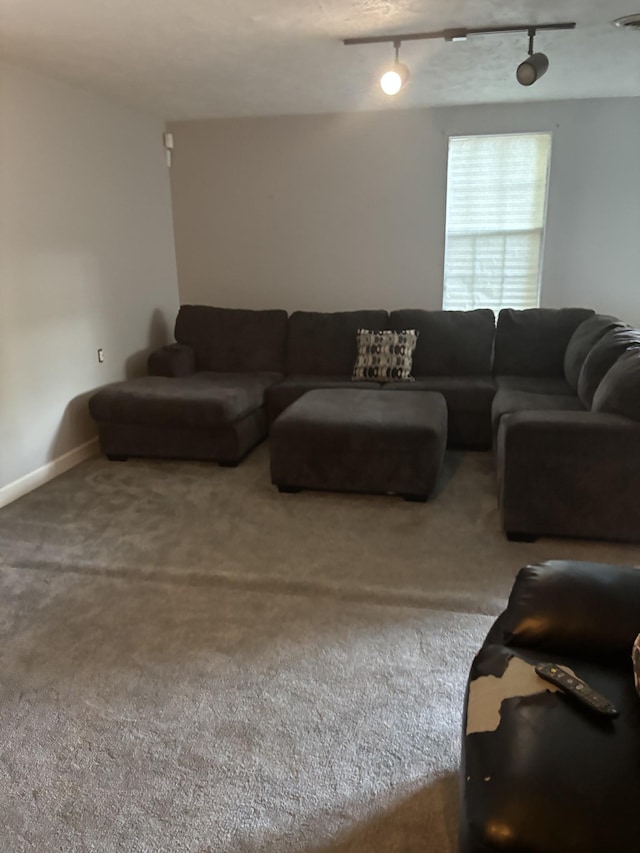 5929 Colchester Dr E, Hermitage, TN 37076 - living area featuring carpet and rail lighting