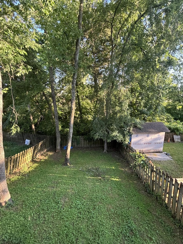 5929 Colchester Dr E, Hermitage, TN 37076 - view of yard