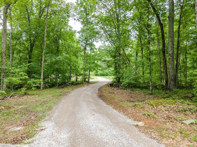 view of dirt / gravel road featuring a wooded view