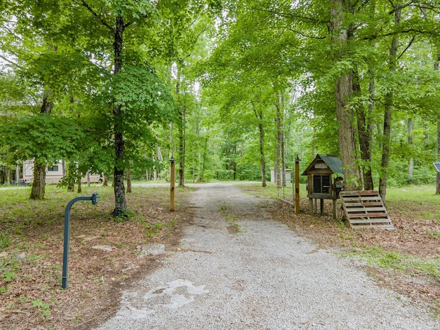 view of dirt / gravel driveway