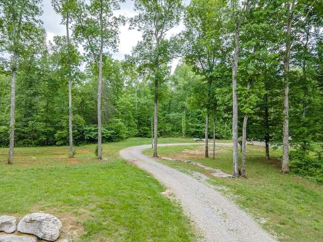 view of road with a wooded view