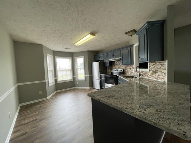 9104 Eddystone Ct, Smyrna, TN 37167 - kitchen featuring electric stove, freestanding refrigerator, a sink, wood finished floors, and decorative backsplash