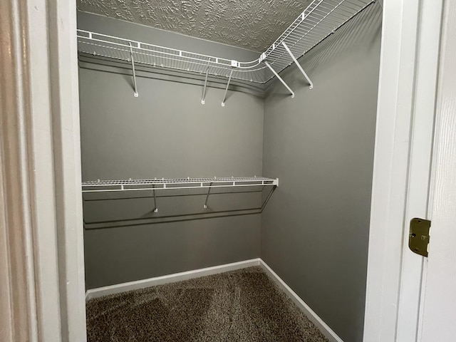 9104 Eddystone Ct, Smyrna, TN 37167 - walk in closet with carpet floors