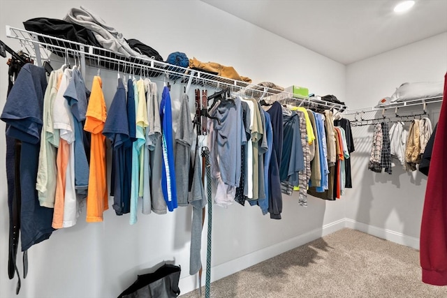 walk in closet featuring carpet flooring