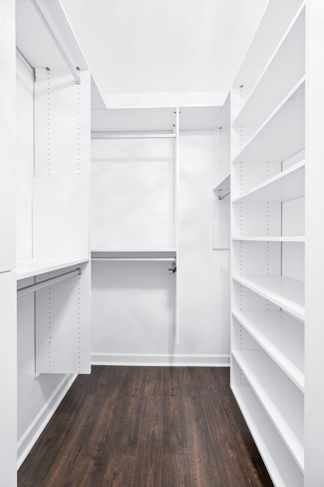 4085 Liberton Way, Nolensville, TN 37135 - walk in closet with wood finished floors