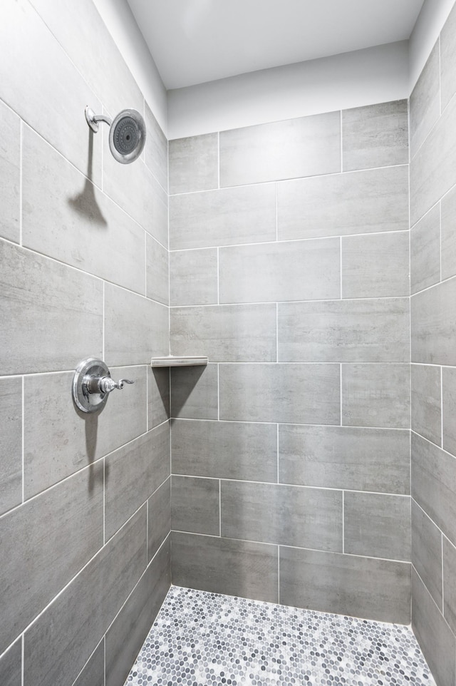 4085 Liberton Way, Nolensville, TN 37135 - bathroom with a tile shower
