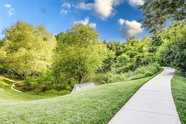 4085 Liberton Way, Nolensville, TN 37135 - view of property's community featuring a lawn