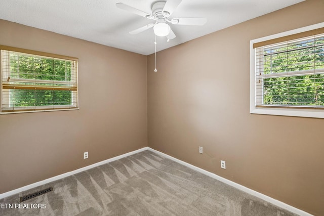 6201 Moore Rd Unit 1, Knoxville, TN 37920 - photo 30