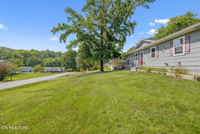 6201 Moore Rd Unit 1, Knoxville, TN 37920 - photo 7