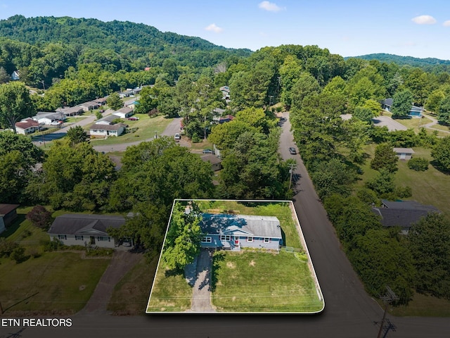 6201 Moore Rd Unit 1, Knoxville, TN 37920 - photo 50