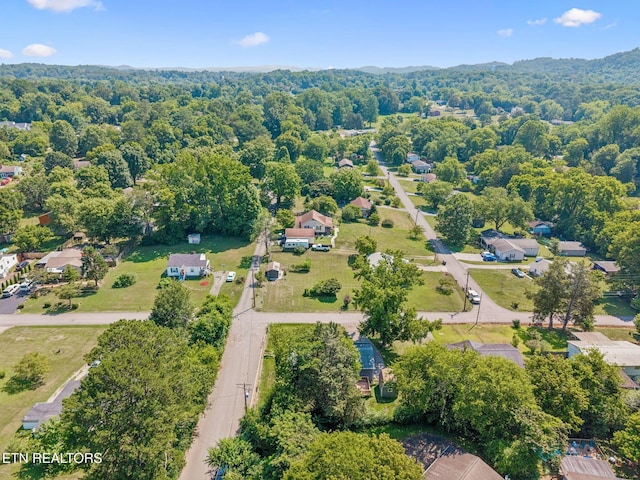 6201 Moore Rd Unit 1, Knoxville, TN 37920 - photo 54