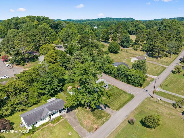 6201 Moore Rd Unit 1, Knoxville, TN 37920 - photo 51