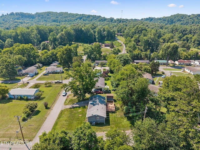 6201 Moore Rd Unit 1, Knoxville, TN 37920 - photo 48