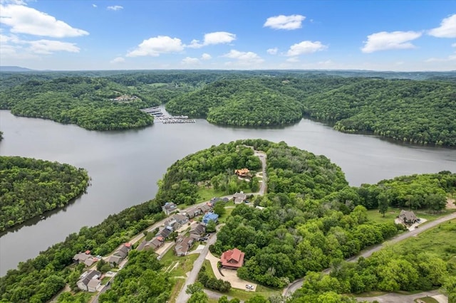 105 Sandgate Ct, Smithville, TN 37166 - photo 76