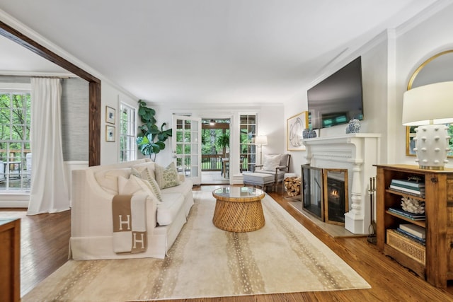 living area with wood finished floors, a glass covered fireplace, and ornamental molding