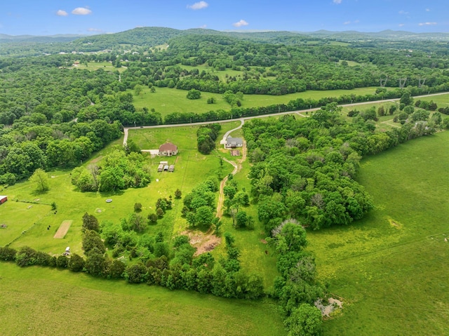 7575 Carthage Hwy, Lebanon, TN 37087 - overview of rural landscape with a mountainous background