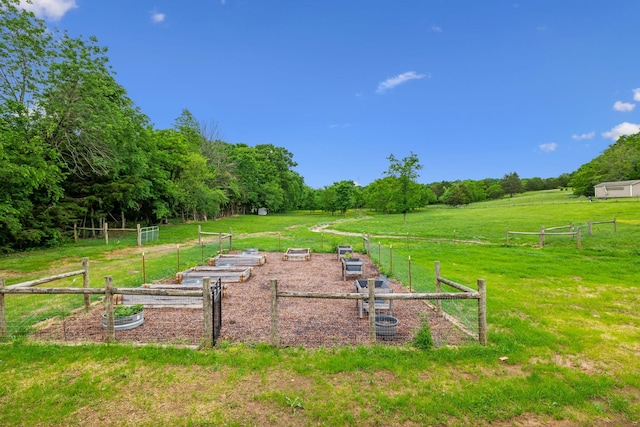 7575 Carthage Hwy, Lebanon, TN 37087 - surrounding community featuring a garden and a view of rural / pastoral area