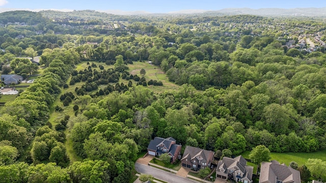 1308 Beech Hollow Dr, Nashville, TN 37211 - aerial view of residential area with a forest