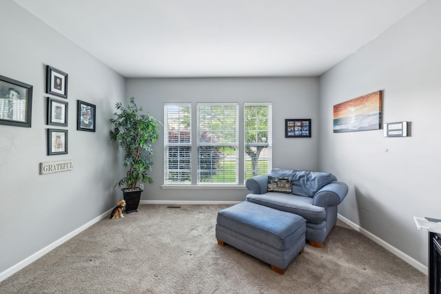 1308 Beech Hollow Dr, Nashville, TN 37211 - living area with carpet flooring and baseboards