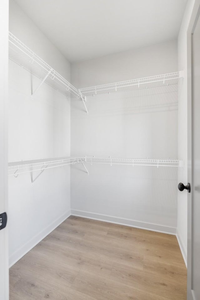 walk in closet featuring light wood-style floors