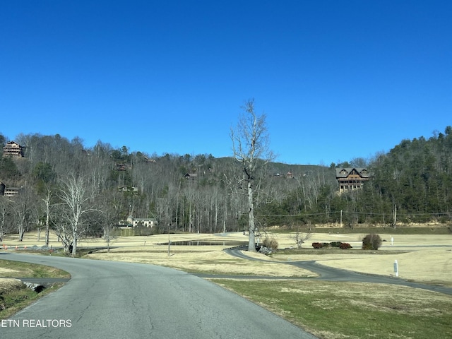 518 Deer Path Ln, Gatlinburg, TN 37738 - view of asphalt road