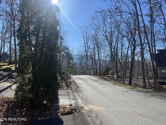 518 Deer Path Ln, Gatlinburg, TN 37738 - view of asphalt road