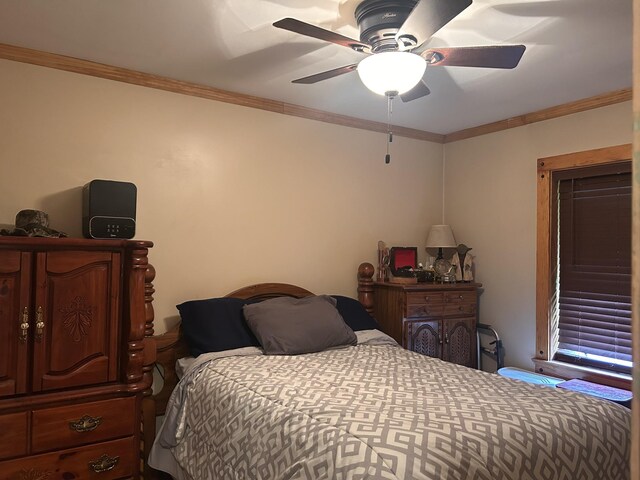 141 Higdon St, Lynnville, TN 38472 - photo 20