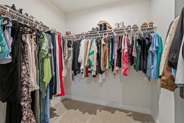 2720 Thornton Grove Blvd, Nashville, TN 37207 - walk in closet with carpet floors