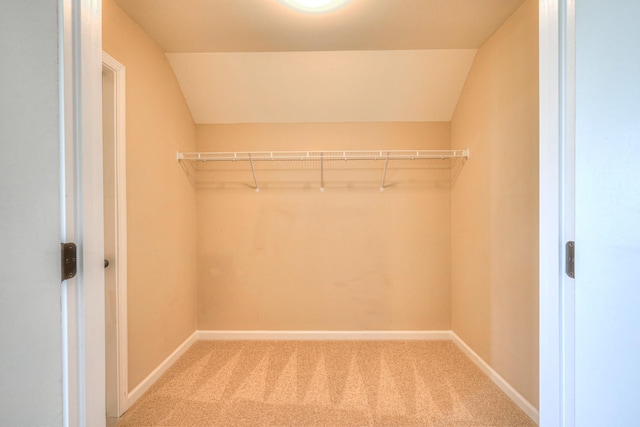 1008 Beverly Ln, Spring Hill, TN 37174 - spacious closet featuring carpet flooring and vaulted ceiling