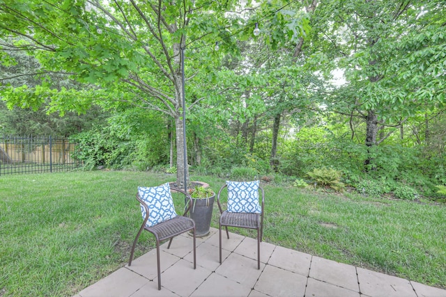 1008 Beverly Ln, Spring Hill, TN 37174 - view of patio