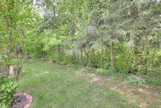 1008 Beverly Ln, Spring Hill, TN 37174 - view of green lawn with a view of trees
