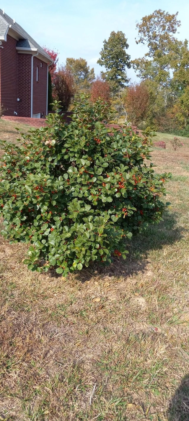 6611 Arno College Grove Rd, College Grove, TN 37046 - view of yard