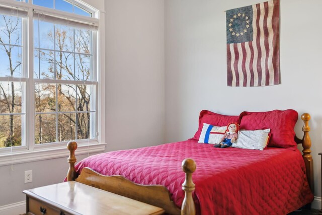 6611 Arno College Grove Rd, College Grove, TN 37046 - bedroom with baseboards
