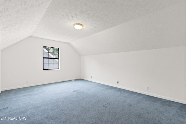 338 Lindsey Mill Cir, Rocky Top, TN 37769 - bonus room with a textured ceiling, carpet floors, vaulted ceiling, and baseboards