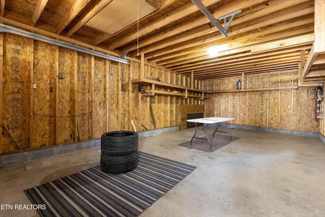338 Lindsey Mill Cir, Rocky Top, TN 37769 - view of below grade area