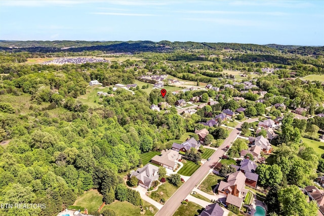5606 Bridgehampton Dr, Powell, TN 37849 - bird's eye view of a forest