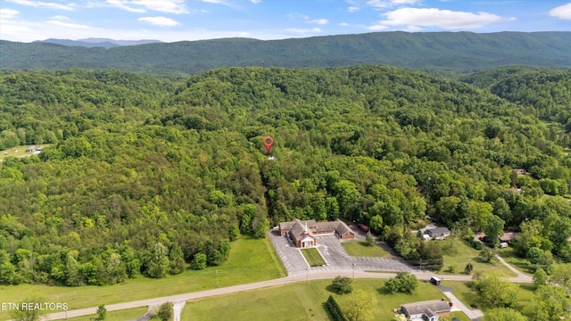 530 Blockhouse Rd, Maryville, TN 37803 - photo 3
