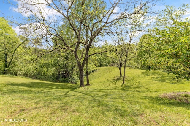 530 Blockhouse Rd, Maryville, TN 37803 - photo 59